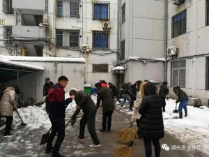 抗雪特輯 | 致大雪中可愛的房總人！